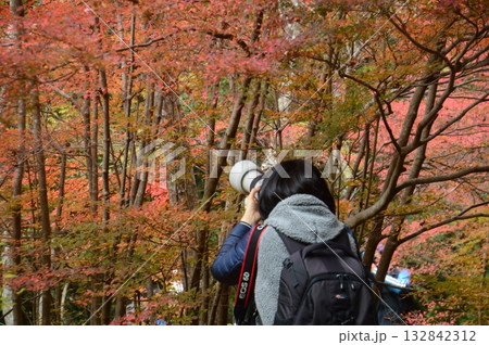 瑞宝寺公園 132842312
