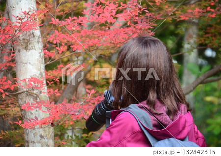 瑞宝寺公園 132842315