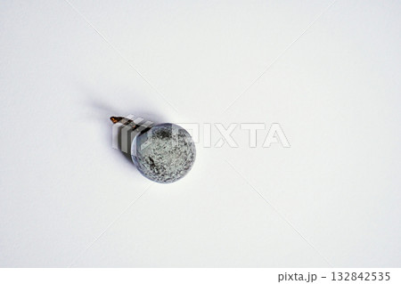 秋のナギの実（秋、十月） 132842535