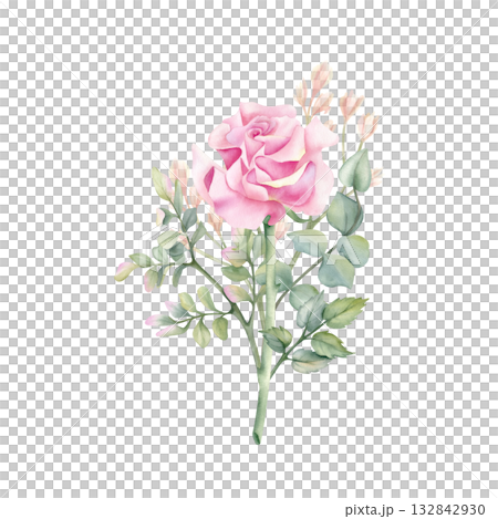 French Rose with leaves, botanical watercolor art. Open bud of flower, eucalyptus, sprig of pistachio. Delicate pink floral isolated illustration. Spring composition for your design, textile, card French Rose with leaves, botanical watercolor art. Open bud of flower, eucalyptus, sprig of pistachio. Delicate pink floral isolated illustration. Spring composition for your design, textile, card 132842930