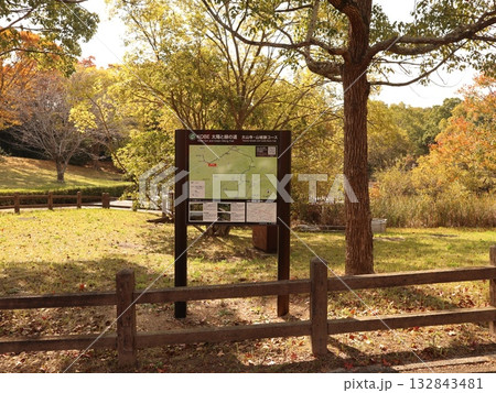 西神中央公園　神戸市　西区　公園　少し紅葉 132843481