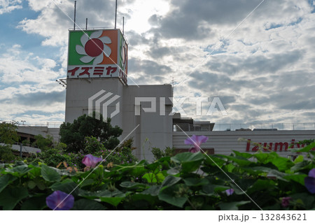 大阪府松原市 イズミヤ松原店 閉店の記録-看板とノアサガオ 132843621