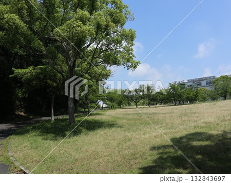 西神中央近隣散歩道からの風景　湯谷池　区役所　他 132843697