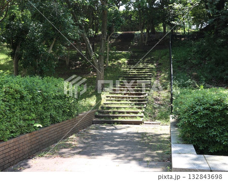 西神中央近隣散歩道からの風景　湯谷池　区役所　他 132843698