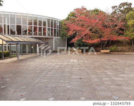 西神中央公園　神戸市　西区　公園　少し紅葉 132843793