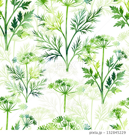 Seamless pattern with watercolor herbs, dill and parsley. Hand drawn. Not AI, vector illustration. 132845229
