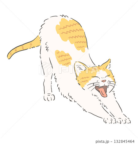 のびをする茶白猫のイラスト 132845464