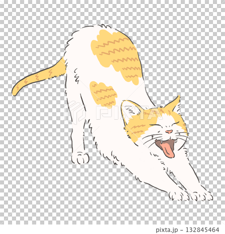 のびをする茶白猫のイラスト 132845464