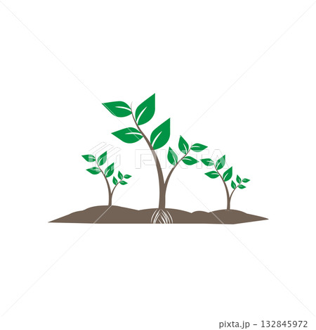 Illustration of a green plant seedling with lush leaves and a strong root system Illustration of a green plant seedling with lush leaves and a strong root system 132845972
