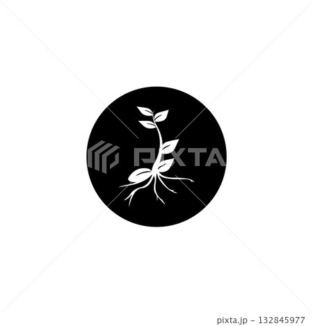 plant icon vectors illustration, color black and white plant icon vectors illustration, color black and white 132845977