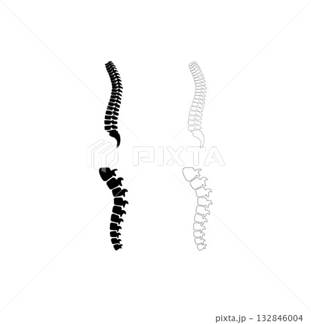 spine icon set, vectors illustration 132846004