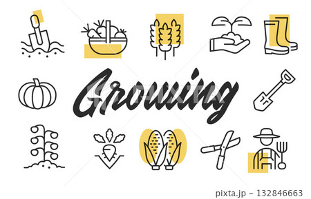 Growing Poster. Vector Illustration Growing Poster. Vector Illustration 132846663