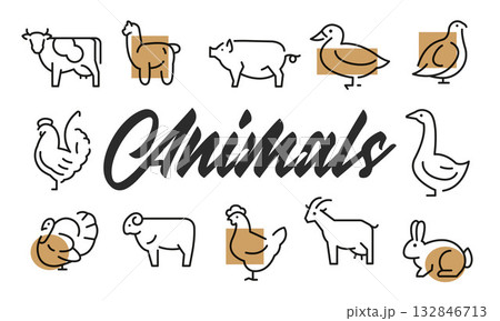 Animals Poster. Vector Illustration Animals Poster. Vector Illustration 132846713