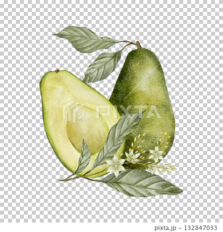 Watercolor avocado leaves and flowers illustration. Hand drawn botanical drawing. Green plant vegetables on isolated background for food, cosmetic packaging design, card, invitation. Watercolor avocado leaves and flowers illustration. Hand drawn botanical drawing. Green plant vegetables on isolated background for food, cosmetic packaging design, card, invitation. 132847033