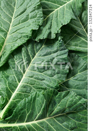 ケール 山梨県産 ケール 山梨県産 132847314
