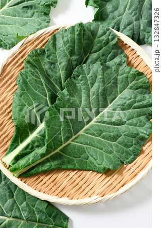 ケール　山梨県産 132847326