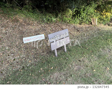 17番ホール 132847345