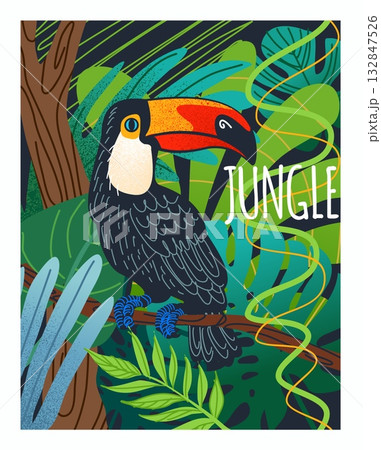 Toucan poster. Jungle forest on background. Tropical bird, wildlife parrot. Cute doodle leaf. Summer print. Drawing image with texture. Rainforest Vector cartoon flat style isolated illustration Toucan poster. Jungle forest on background. Tropical bird, wildlife parrot. Cute doodle leaf. Summer print. Drawing image with texture. Rainforest Vector cartoon flat style isolated illustration 132847526