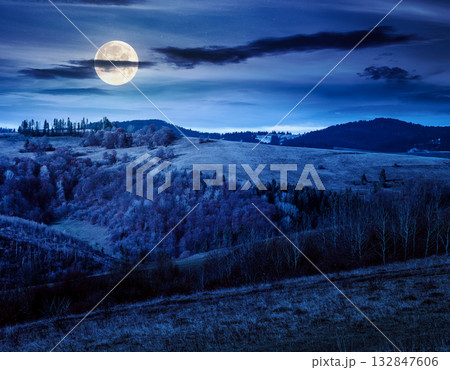 countryside mountain landscape in autumn at night. alps in full moon light. beautiful place. scenery with forest on rolling hills. beauty in nature and rural sustainability concept 132847606