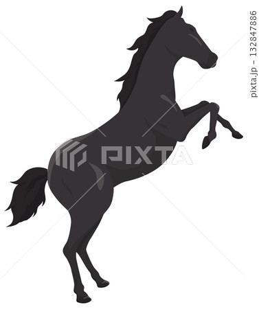 躍動する馬イラスト 132847886