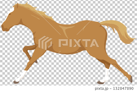 Leaping horse illustration 132847890