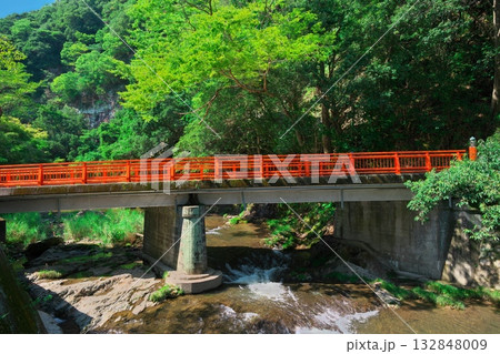 三重県津市榊原温泉郷 深緑に囲まれた赤い橋のゆかりはし 三重県津市榊原温泉郷 深緑に囲まれた赤い橋のゆかりはし 132848009