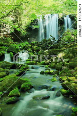 乙女の滝 乙女の滝 132848024