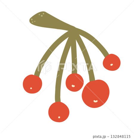 Hand drawn autumn branch isolated on white background. Botanical vector illustration for home decor and design, greeting card, banner, poster, label. 132848115