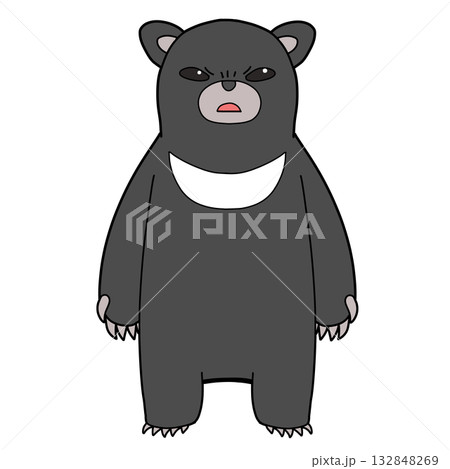 後ろ足で立っているちょっと怒っているクマ 後ろ足で立っているちょっと怒っているクマ 132848269