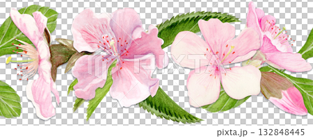 Sakura flowers horizontal seamless border watercolor, pink tones, hand-painted in natural botanical style. Perfect for wedding invitations, spring cards, packaging, textile design. Isolated on white Sakura flowers horizontal seamless border watercolor, pink tones, hand-painted in natural botanical style. Perfect for wedding invitations, spring cards, packaging, textile design. Isolated on white 132848445