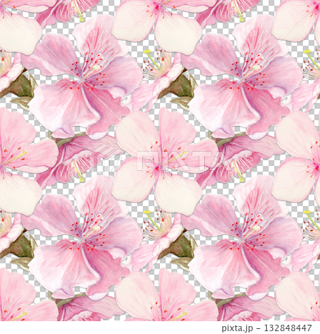 Sakura flowers seamless pattern watercolor, pink tones, hand-painted in natural botanical style isolated on white background. Perfect for wedding invitations, spring cards, packaging, textile design. Sakura flowers seamless pattern watercolor, pink tones, hand-painted in natural botanical style isolated on white background. Perfect for wedding invitations, spring cards, packaging, textile design. 132848447