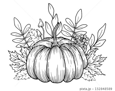 Pumpkin with maple leaves, berries and mushrooms. Hand drawn botanical vector illustration. Black line art graphic. Autumn garden composition for seasonal holidays, packaging and Thanksgiving. Pumpkin with maple leaves, berries and mushrooms. Hand drawn botanical vector illustration. Black line art graphic. Autumn garden composition for seasonal holidays, packaging and Thanksgiving. 132848589