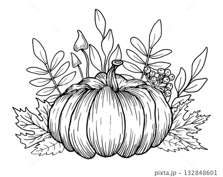 Pumpkin with maple leaves, rowan berries, and mushrooms. Hand-drawn botanical vector illustration. Black line art. Autumn garden composition for seasonal holidays, festivals and Thanksgiving. Pumpkin with maple leaves, rowan berries, and mushrooms. Hand-drawn botanical vector illustration. Black line art. Autumn garden composition for seasonal holidays, festivals and Thanksgiving. 132848601