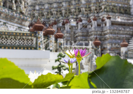 ワット・アルン（暁の寺）のスイレンの花 132848787