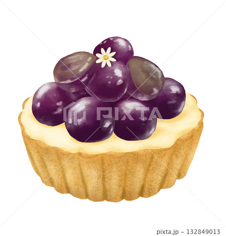 秋の味覚、おしゃれなぶどうタルトイラスト 132849013