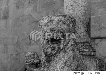 Monochrome detail of carved lion head sculpture from Colleoni Chapel supporting portal column 132849839