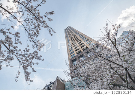 都内の風景 都内の風景 132850134