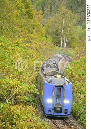 紅葉の林の中を走るキハ261系の特急列車 132850228