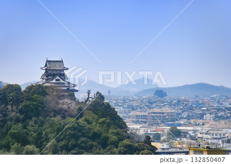 犬山成田山から望む犬山城（愛知） 132850407