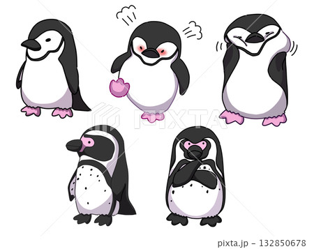 かわいいペンギンセット 132850678