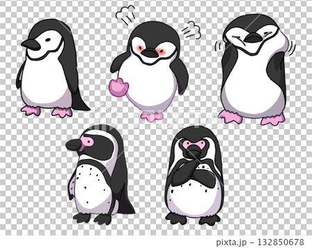 かわいいペンギンセット 132850678