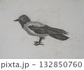 Artwork depicting a crow drawn in black and white pencil on textured paper 132850760