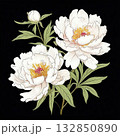 an AI Image Generator, Elegant Drawing of White Peonies with Green Leaves 132850890
