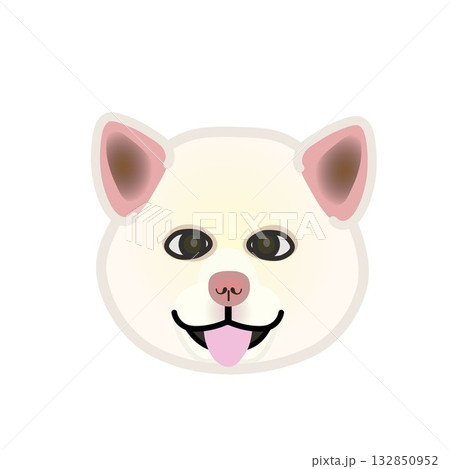 正面を向いた秋田犬の顔 正面を向いた秋田犬の顔 132850952