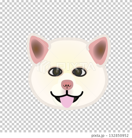 秋田犬的臉朝前 132850952