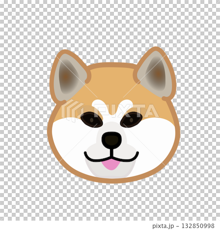 秋田犬的臉朝前 132850998