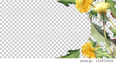 Horizontal frame with yellow dandelion flowers, buds and green leaves, hand-drawn. The watercolor illustration is isolated on a white background. A botanical template with wildflowers and an empty Horizontal frame with yellow dandelion flowers, buds and green leaves, hand-drawn. The watercolor illustration is isolated on a white background. A botanical template with wildflowers and an empty 132851028