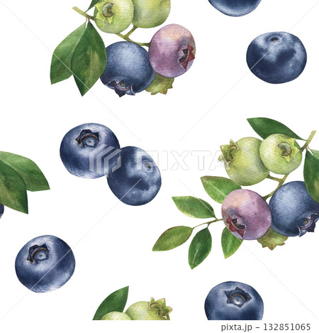 Blueberries with leaves watercolor seamless pattern. Hand drawn illustration Blueberries with leaves watercolor seamless pattern. Hand drawn illustration 132851065