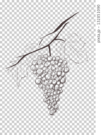Grapes 132851090