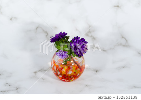 ガラスの暖色一輪挿しに挿したエゾギク（横構図中配置） 132851139